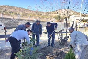 کاشت-نهال-به-یاد-شهدای-مدافع-سلامت-در-بیمارستان-امام-خمینی-سردشت